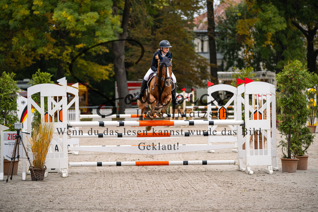 A7V00258 | Turnier/Reitfotograf