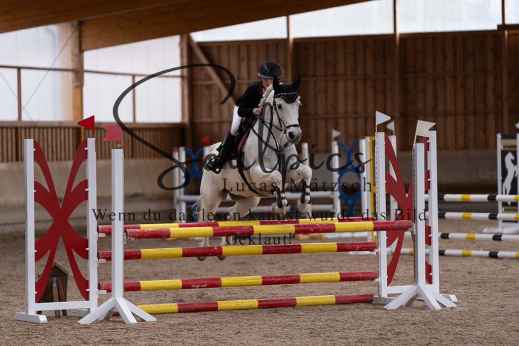 A7507845 | Pferdefotograf