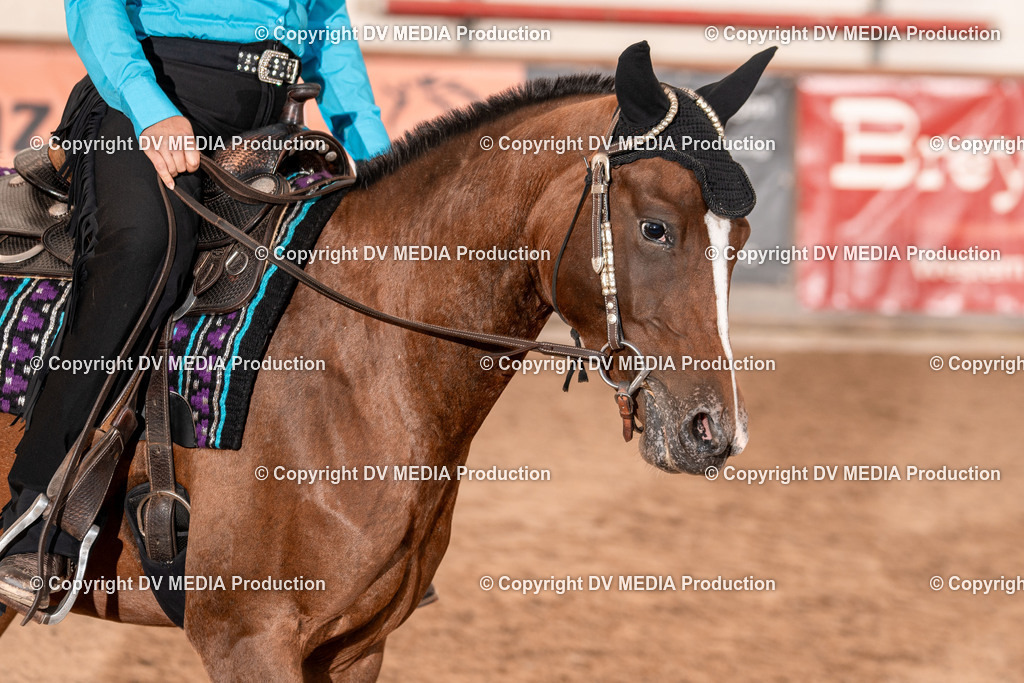 LM Heiligenwald Tag 1-609 | dv-media-shop - Realisiert mit Pictrs.com