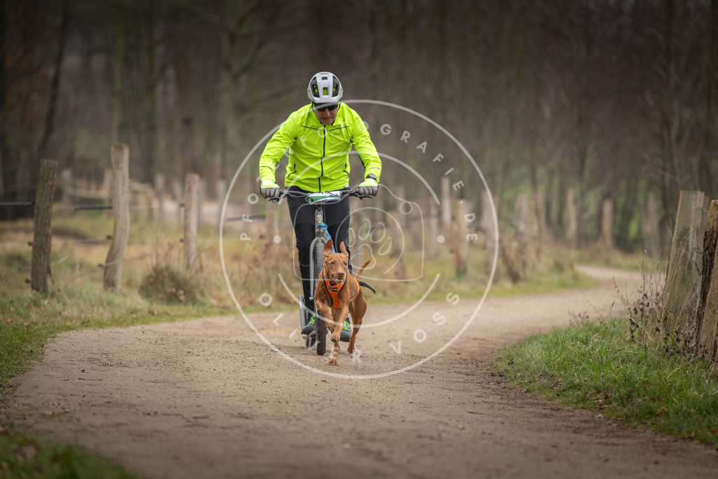Pfotenfotografie_DV3A2643 | Hundefotografie, Tierfotograf, Pfotenfotografie, Fotoshooting Hund, Hunde Portrait, Hundesport, Hundeportraits, Heideshooting, Hunde, Sportfotograf, Hundefotograf, Turnierhundsport, THS,  - Realisiert mit Pictrs.com