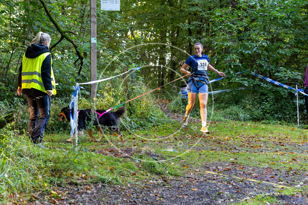 Pfotenfotografie_DV3A6939 | Hundefotografie, Tierfotograf, Pfotenfotografie, Fotoshooting Hund, Hunde Portrait, Hundesport, Hundeportraits, Heideshooting, Hunde, Sportfotograf, Hundefotograf, Turnierhundsport, THS,  - Realisiert mit Pictrs.com