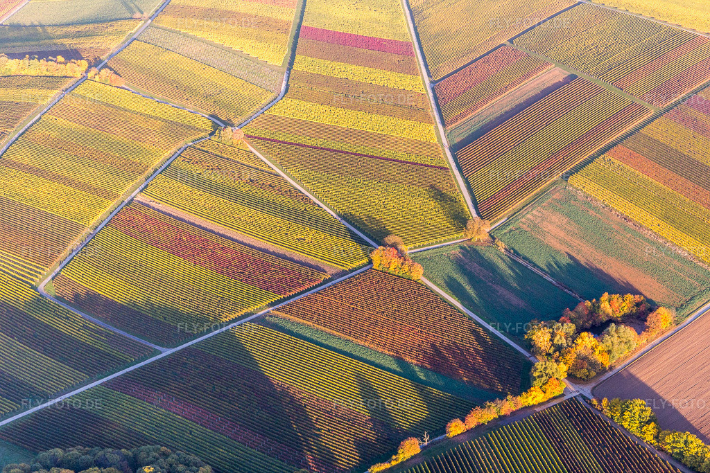 Luftbild: Strukturen der Herbstlich bunt gefärbte Weinbergs- Landschaft der Winzer- Gebiete im Ortsteil Klingen in Heuchelheim-Klingen im Bundesland Rheinland-Pfalz in Deutschland. Foto: IMG_095786.jpg vom 30.10.2016 durch Werner Riehm/FLY-FOTO.de