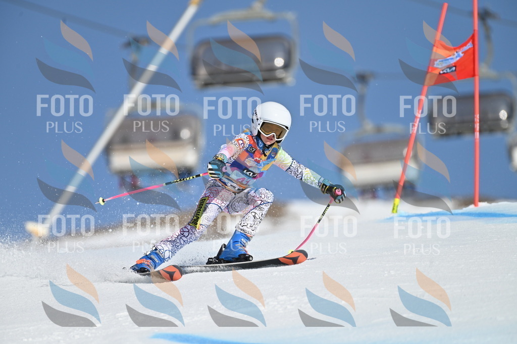 BGV_8370 | holidayphoto