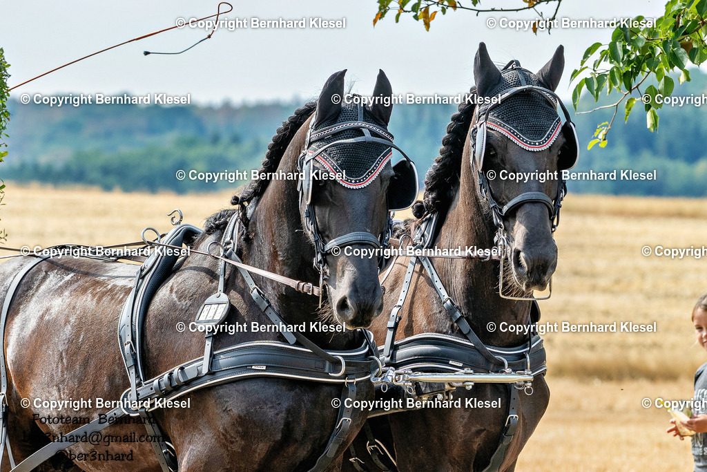 A1B07251 | foto-team-bernhard - Realisiert mit Pictrs.com