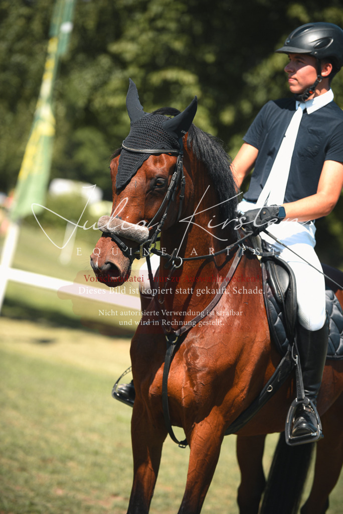 DSC_6981 | Pferde- und Turnierfotografie in Westsachsen. Pferdeportraits, Auftragszeichnungen und intuitive Kunst.