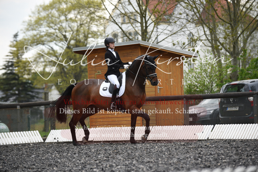 20230513_JK-Röhrsdorf-16-054 | Pferde- und Turnierfotografie in Westsachsen. Pferdeportraits, Auftragszeichnungen und intuitive Kunst.