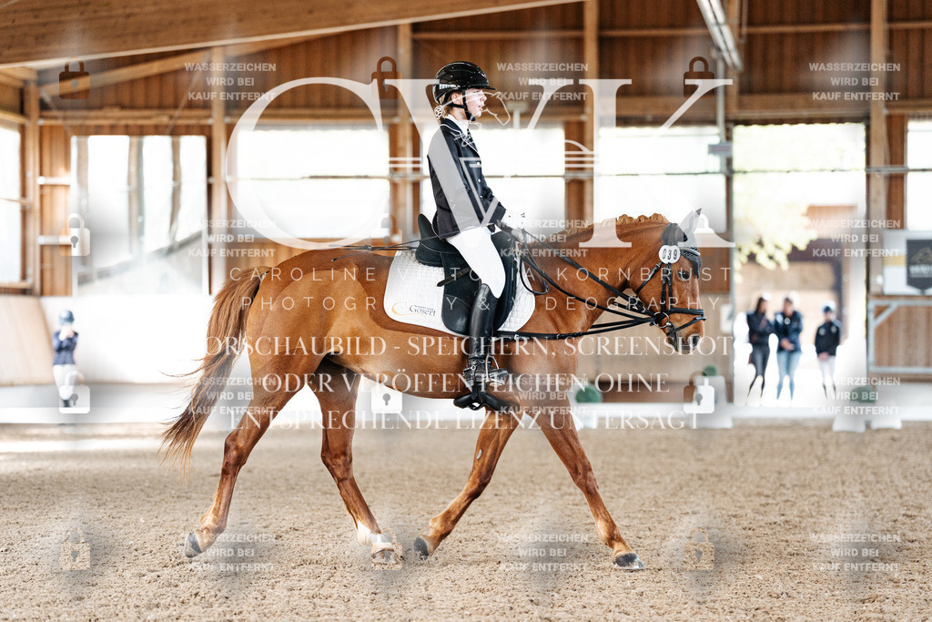 CK908984 | Turnierfotografie Pferdefotografie Trier Rheinland-Pfalz Pferdesport Reitsport Tierfotografie Sportfotografie Pferdevideo Pferdevideografie Equestrianvideography equestrianphotography  - Realized with Pictrs.com