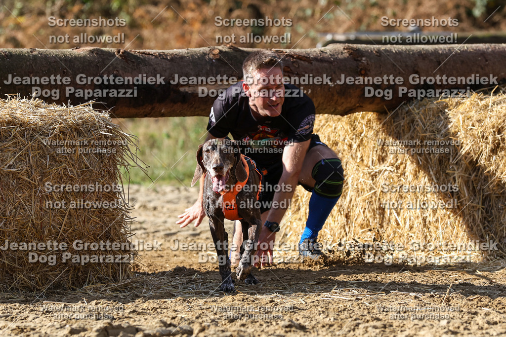 Dog Paparazzi - Strongdog 10-25-4852 | Dog Paparazzi Jeanette Grottendiek Fotografie & Videografie - Realisiert mit Pictrs.com