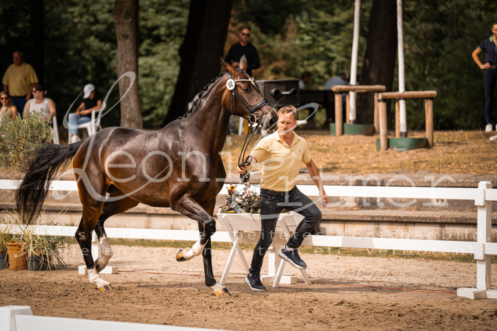 6.Fr00020 | Leoni Ertmer Photography - Realisiert mit Pictrs.com