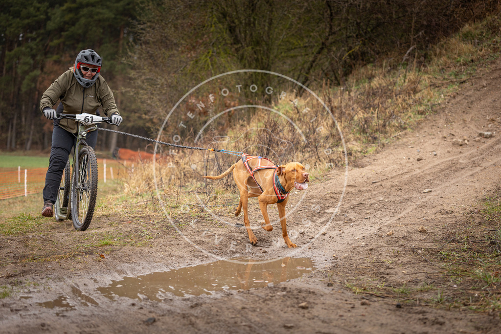 DV3A9517 | Hundefotografie, Tierfotograf, Pfotenfotografie, Fotoshooting Hund, Hunde Portrait, Hundesport, Hundeportraits, Heideshooting, Hunde, Sportfotograf, Hundefotograf, Turnierhundsport, THS,  - Realisiert mit Pictrs.com