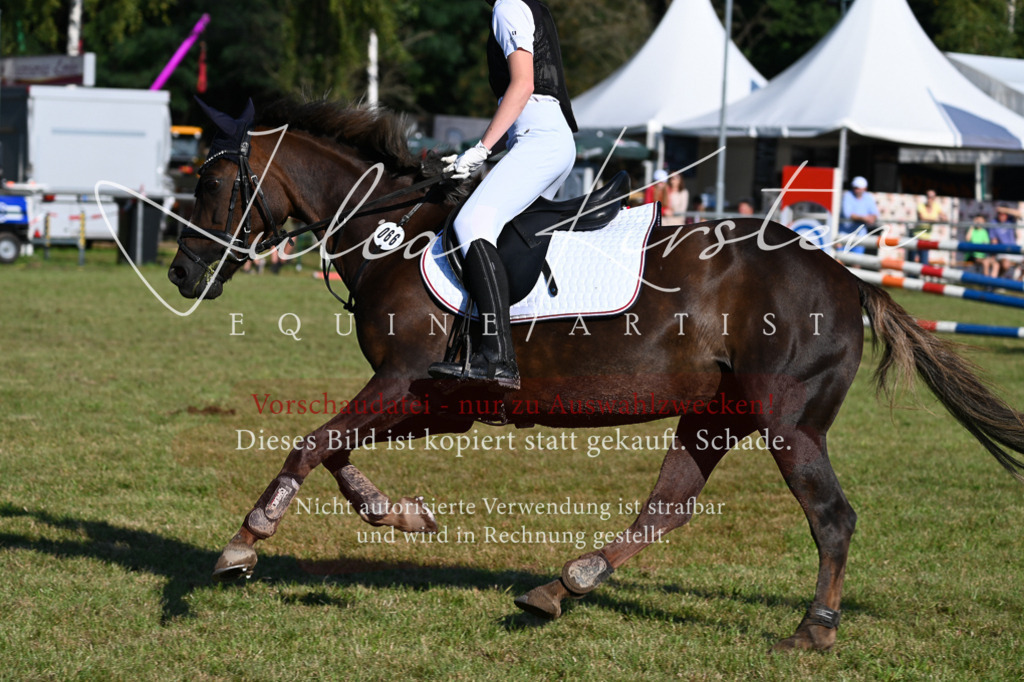 DSC_5016 | Pferde- und Turnierfotografie in Westsachsen. Pferdeportraits, Auftragszeichnungen und intuitive Kunst.