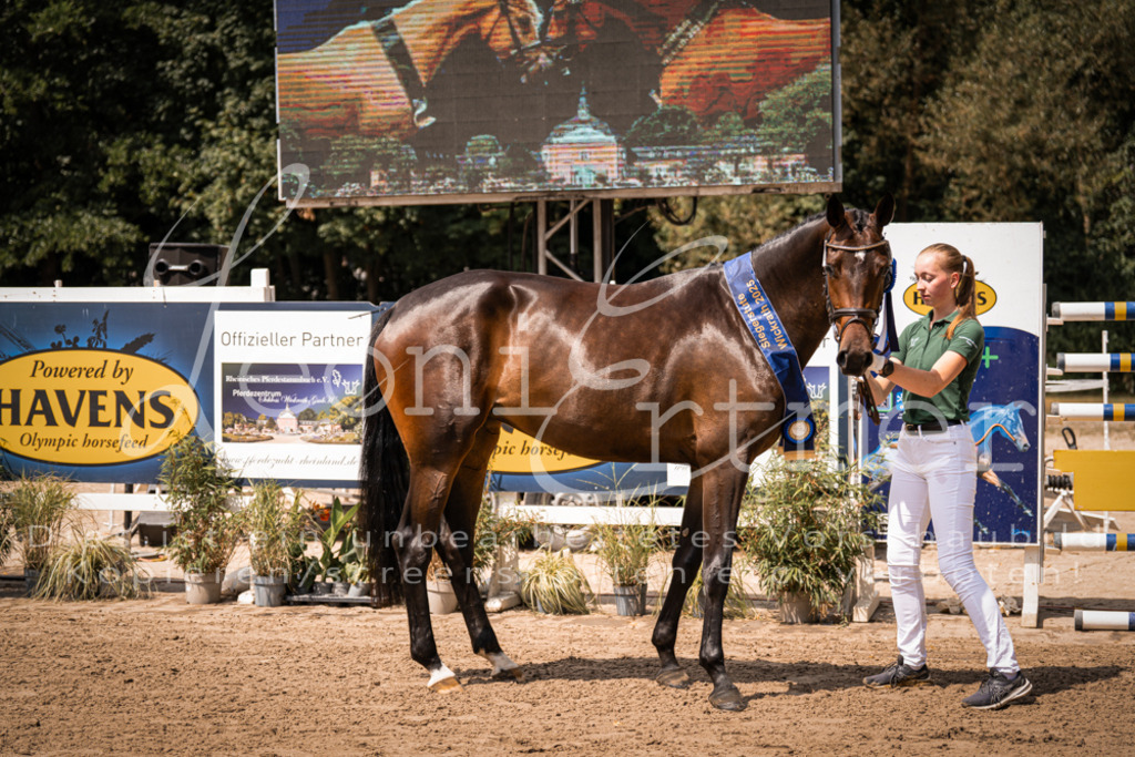 1.Fr00151 | Leoni Ertmer Photography - Realisiert mit Pictrs.com