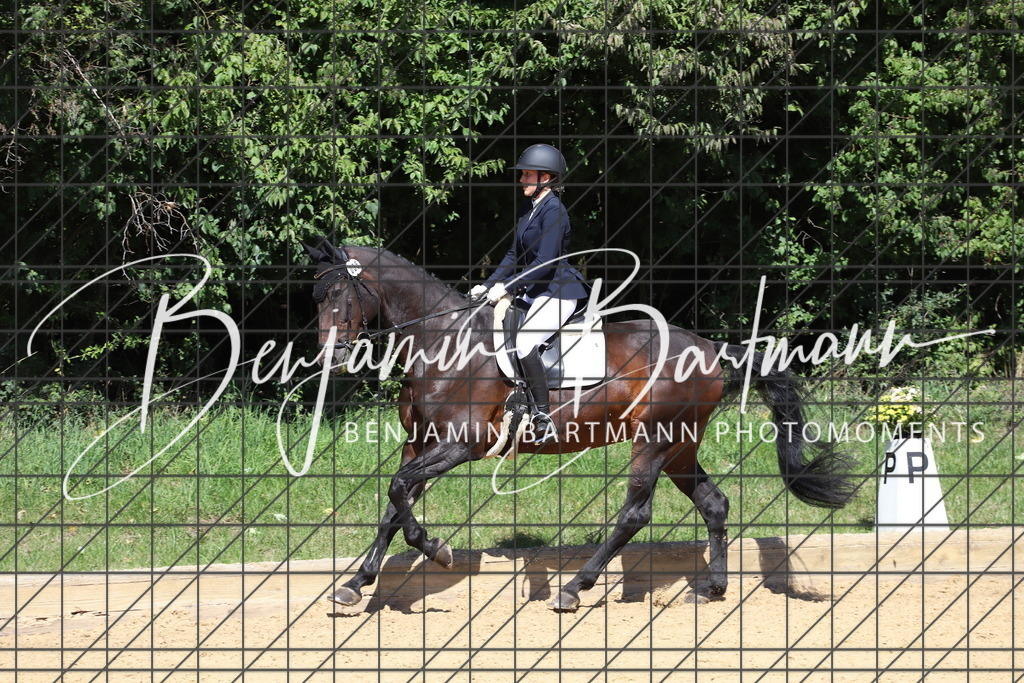 IMG_6406 | Benjamin Bartmann Photomoments