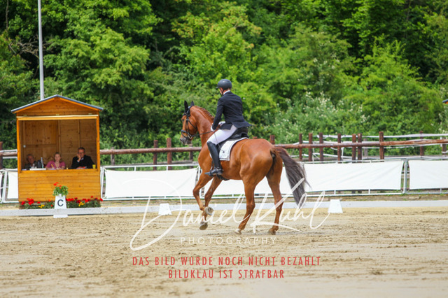 DKP46215 | Turniersportfotografie; Pferdefotografie; Dressurfotografie