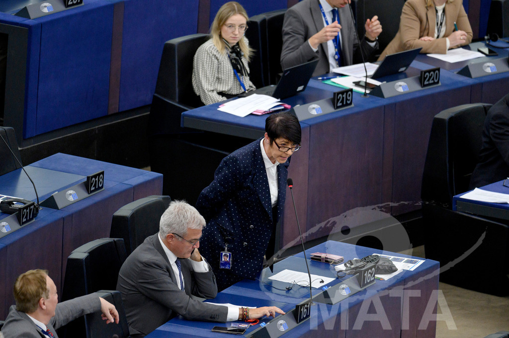 _DWI0287 | Christine ANDERSON (MdEP 2019-2024, AFD, DE) bei Wiederaufnahme der letzte Plenarsitzung. Das Europäische Parlament in Straßburg, 22.04.2024 - Realisiert mit Pictrs.com