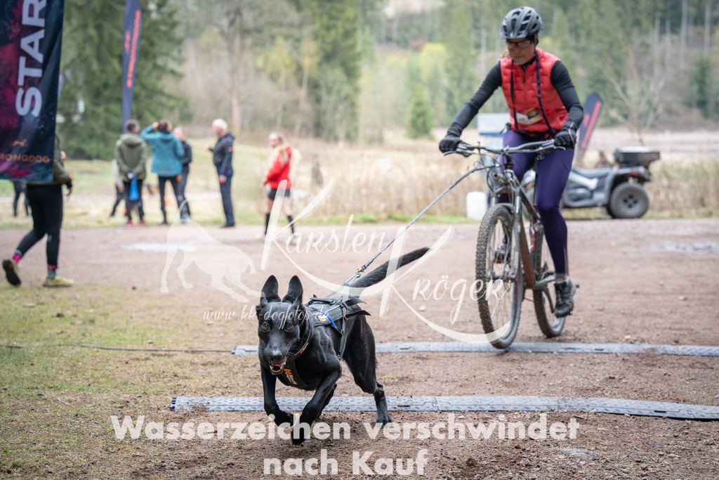 0936_ZZ91663 | kk-dogfotos