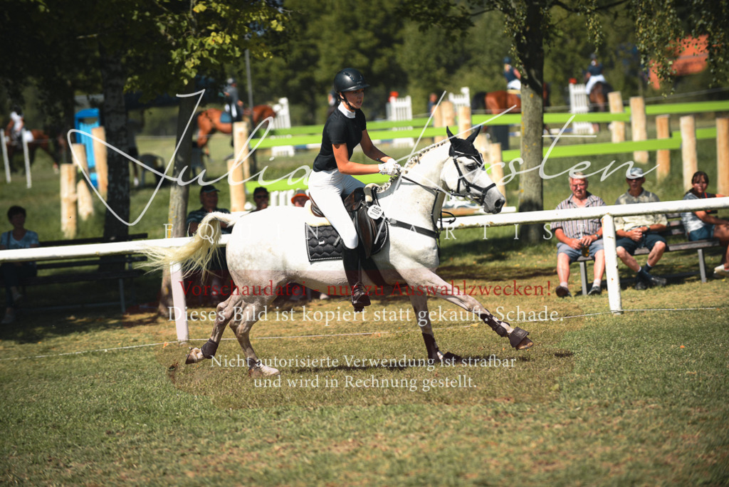 DSC_6885 | Pferde- und Turnierfotografie in Westsachsen. Pferdeportraits, Auftragszeichnungen und intuitive Kunst.