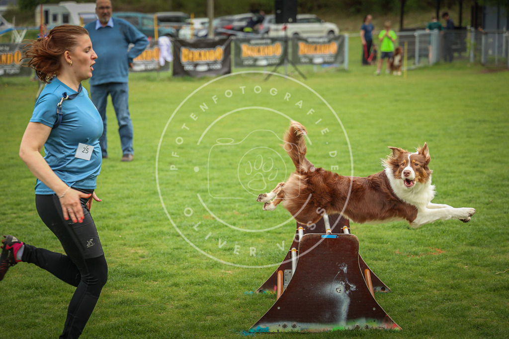 Pfotenfotografie_0L8A9442 | Hundefotografie, Tierfotograf, Pfotenfotografie, Fotoshooting Hund, Hunde Portrait, Hundesport, Hundeportraits, Heideshooting, Hunde, Sportfotograf, Hundefotograf, Turnierhundsport, THS,  - Realisiert mit Pictrs.com