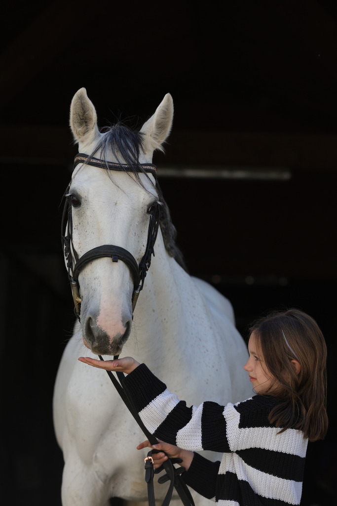 0P6A9007 | Willkommen bei Brunnmayr - Design & Fotografie – Ihrem Spezialisten für Reitturniere und Pferdeveranstaltungen in Oberösterreich, Salzburg und Bayern! Seit über 17 Jahren sind wir leidenschaftlich dabei.