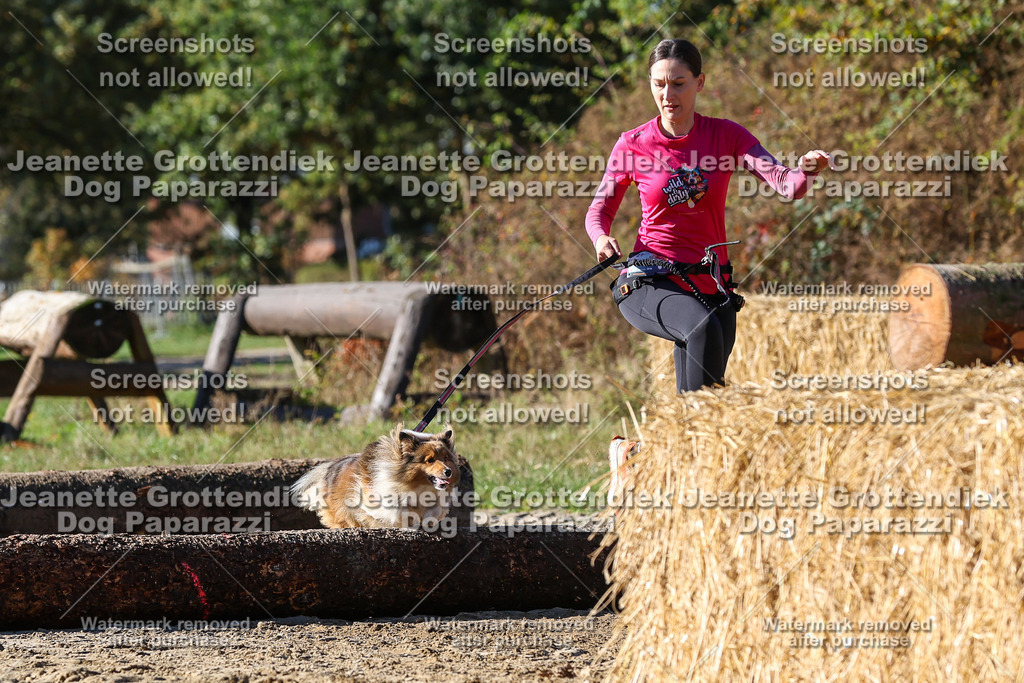 Dog Paparazzi - Strongdog 10-25-2480 | Dog Paparazzi Jeanette Grottendiek Fotografie & Videografie - Realisiert mit Pictrs.com