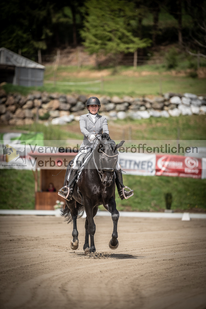 DSC_1315 | equestrian-live-com