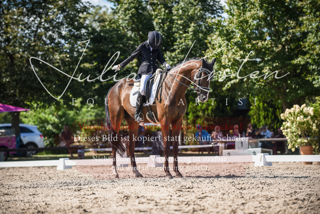 DSC_9585 | Pferde- und Turnierfotografie in Westsachsen. Pferdeportraits, Auftragszeichnungen und intuitive Kunst.