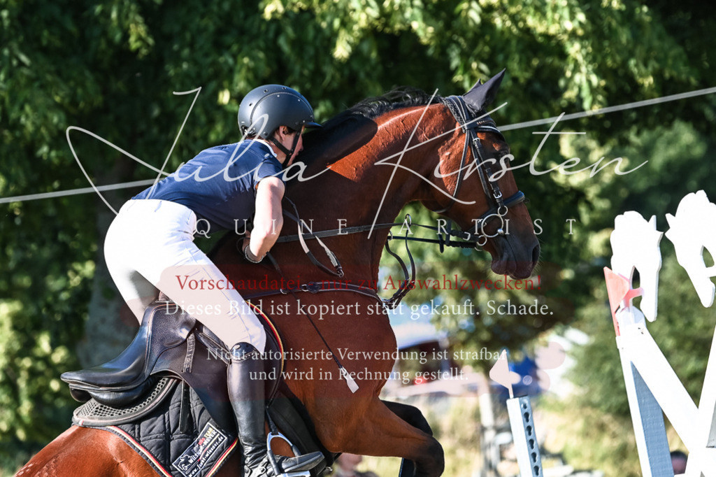 DSC_2713 | Pferde- und Turnierfotografie in Westsachsen. Pferdeportraits, Auftragszeichnungen und intuitive Kunst.