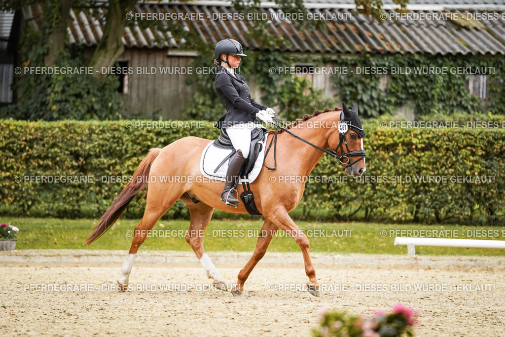 DSC08093 | Pferdegrafie