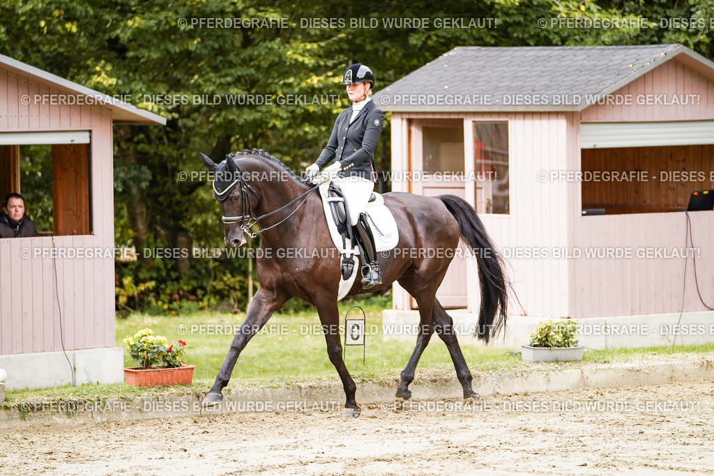 DSC02168 | Pferdegrafie