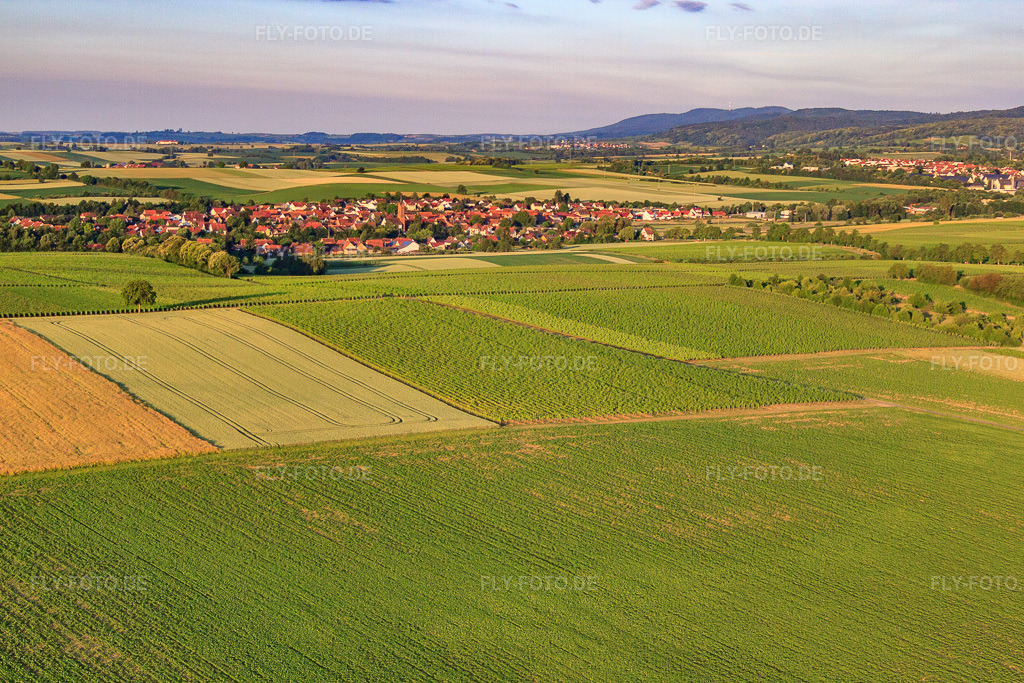 Luftbild: Felder am Morgen vor dem Dorf im Ortsteil Drusweiler in Kapellen-Drusweiler im Bundesland Rheinland-Pfalz in Deutschland. Foto: IMG_67828.jpg vom 14.06.2014 durch Werner Riehm/FLY-FOTO.de