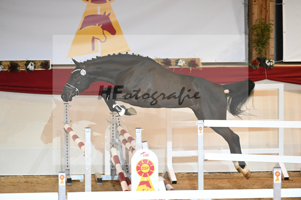 Kat-Nr. 15 Cornet de Semilly_Agrar Handelsgesellschaft Salzfurtkapelle_1230835 | hf-fotografie - Realizzato con Pictrs.com