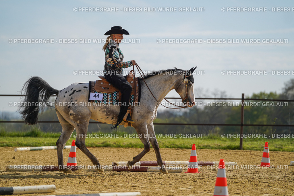 DSC01426 | Pferdegrafie