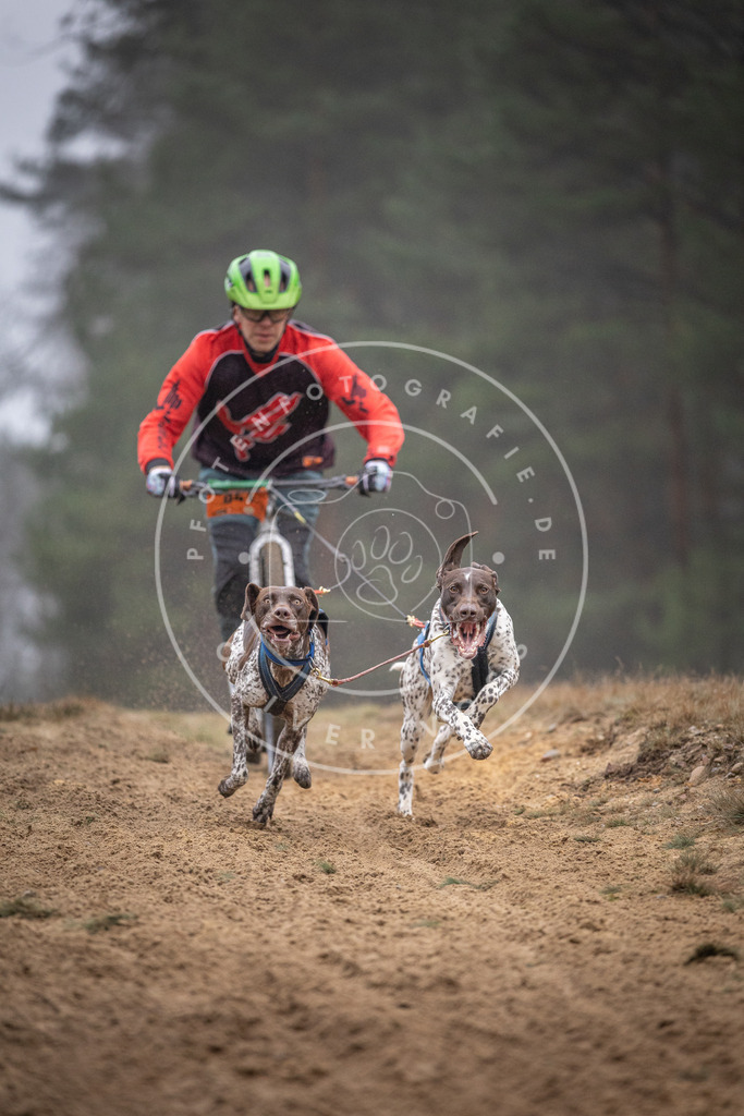 Pfotenfotografie_DV3A0929 | Hundefotografie, Tierfotograf, Pfotenfotografie, Fotoshooting Hund, Hunde Portrait, Hundesport, Hundeportraits, Heideshooting, Hunde, Sportfotograf, Hundefotograf, Turnierhundsport, THS,  - Realisiert mit Pictrs.com