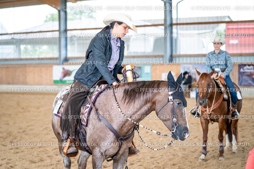 DSC03491 | Pferdegrafie