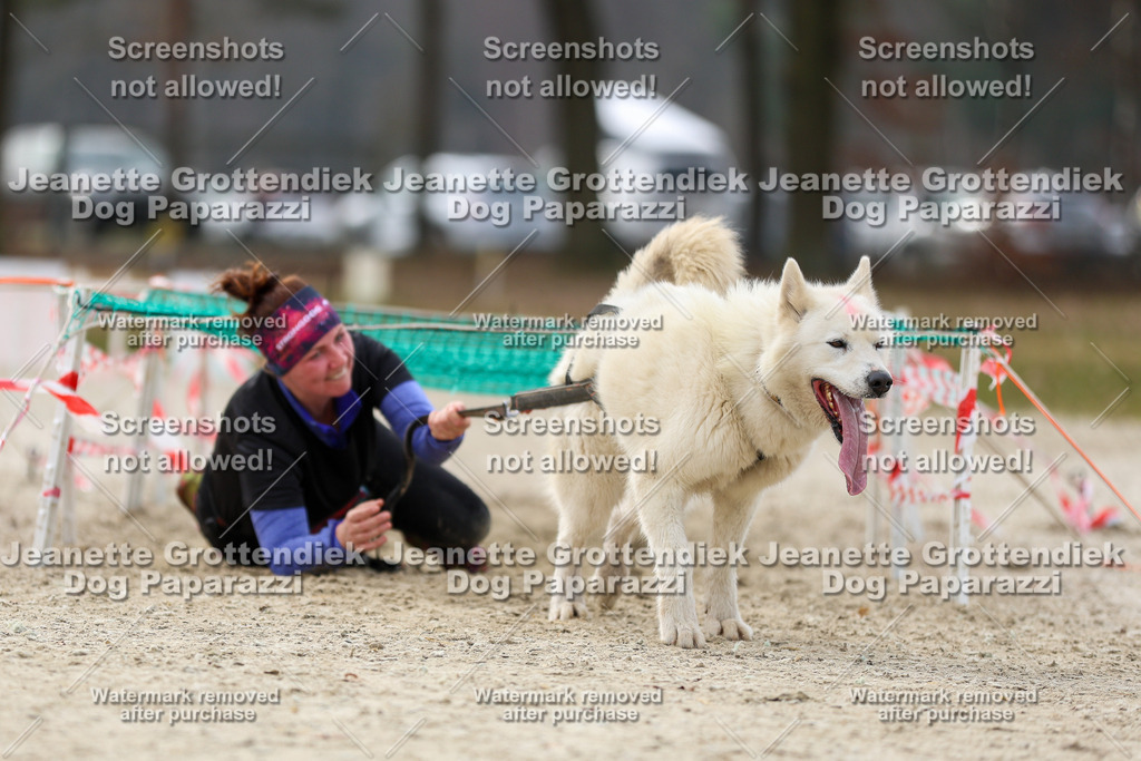Dog Paparazzi - Strongdog North Mrz26-5746 | Dog Paparazzi Jeanette Grottendiek Fotografie & Videografie - Realisiert mit Pictrs.com