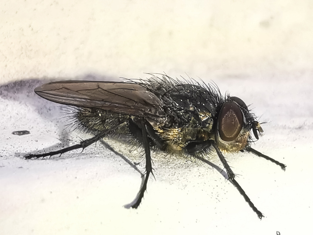 PSX_20230120_234934 | mtkfoto_ - Realisiert mit Pictrs.com