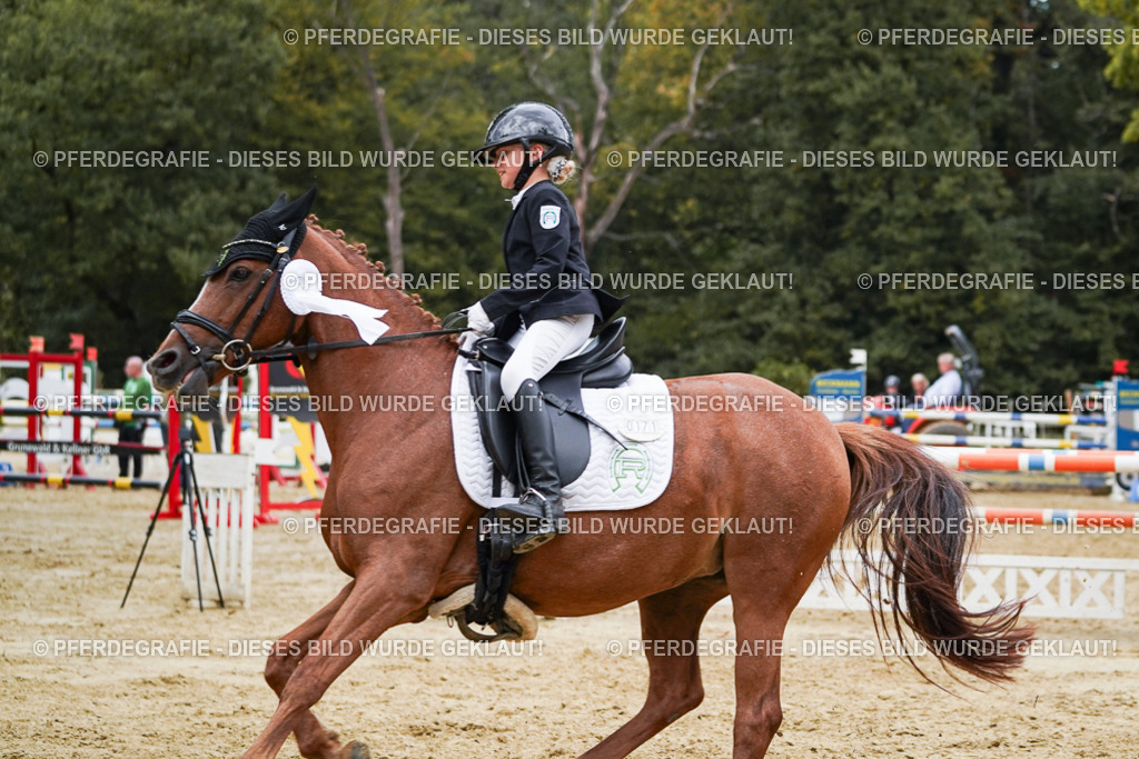 DSC06172 | Pferdegrafie