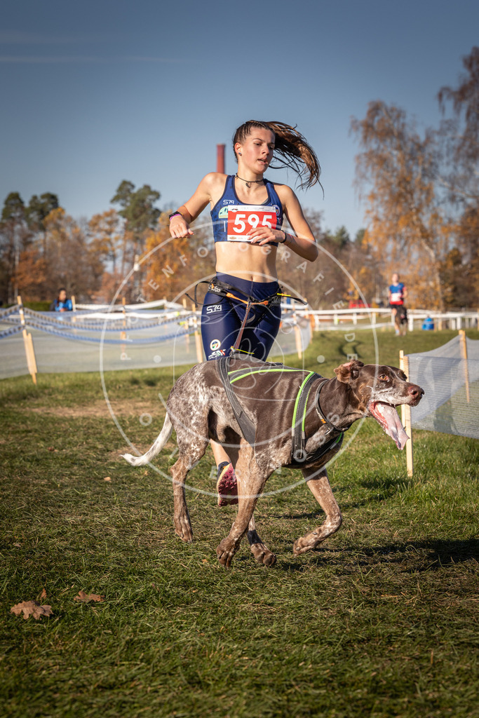 CaniXpix_0L8A8431 | Hundefotografie, Tierfotograf, Pfotenfotografie, Fotoshooting Hund, Hunde Portrait, Hundesport, Hundeportraits, Heideshooting, Hunde, Sportfotograf, Hundefotograf, Turnierhundsport, THS,  - Realisiert mit Pictrs.com