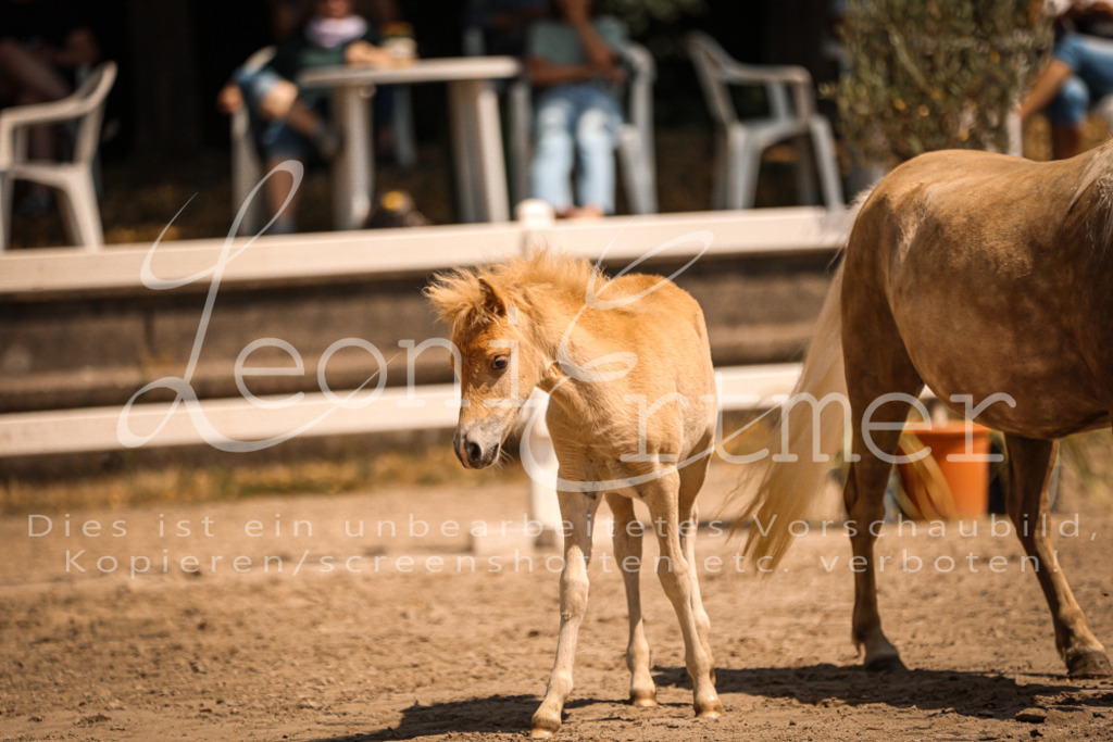02.DoSR00021 | Leoni Ertmer Photography - Realisiert mit Pictrs.com