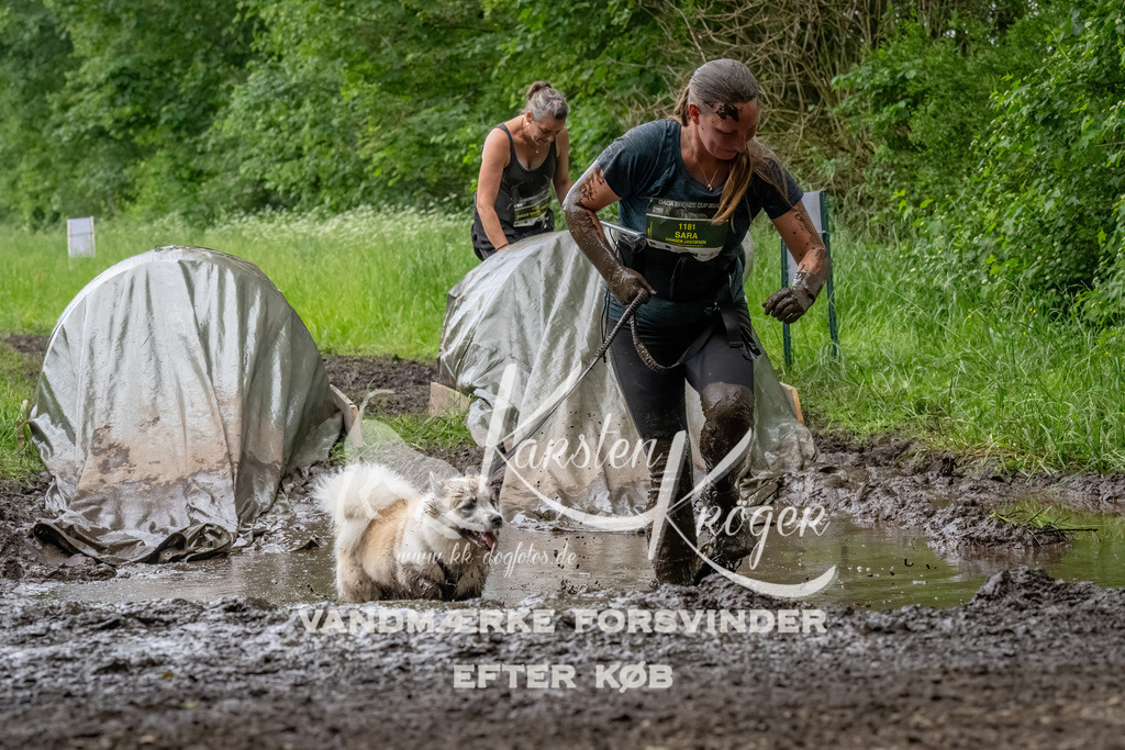 1558_ZZ91520-Bearbeitet | kk-dogfotos