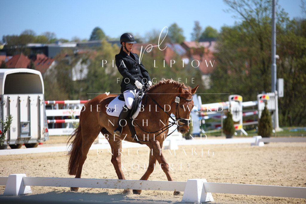 IMGT1052 | pl-fotografie