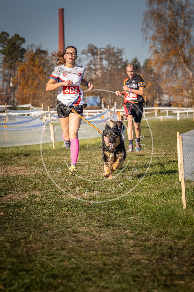 CaniXpix_0L8A8574 | Hundefotografie, Tierfotograf, Pfotenfotografie, Fotoshooting Hund, Hunde Portrait, Hundesport, Hundeportraits, Heideshooting, Hunde, Sportfotograf, Hundefotograf, Turnierhundsport, THS,  - Realisiert mit Pictrs.com