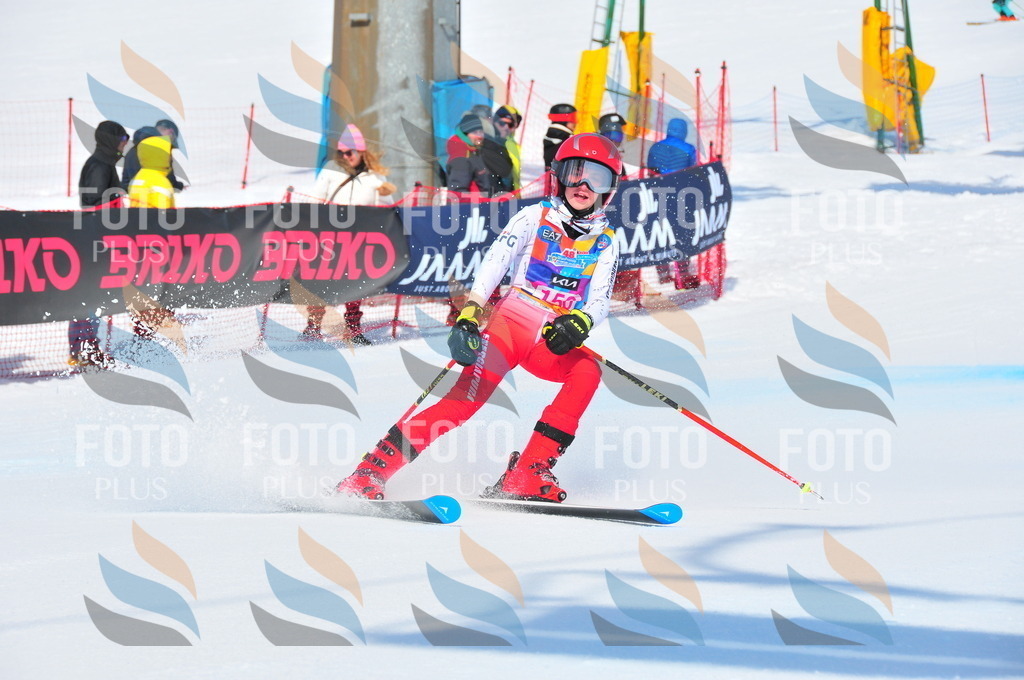 DSC_5081 | holidayphoto