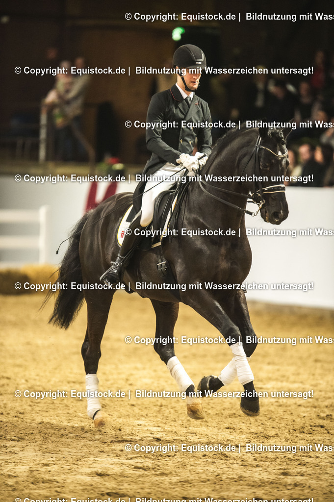 20240302_Hengstvorstellung_Marbach_TOMsPiC_1533 | equistock