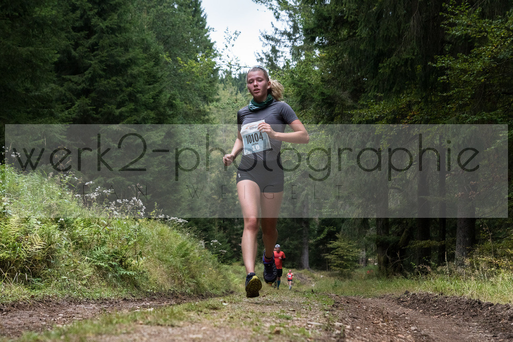 Herbstlauf | Neuhaus/Rwg. - Masserberg am 3. Oktober 2020