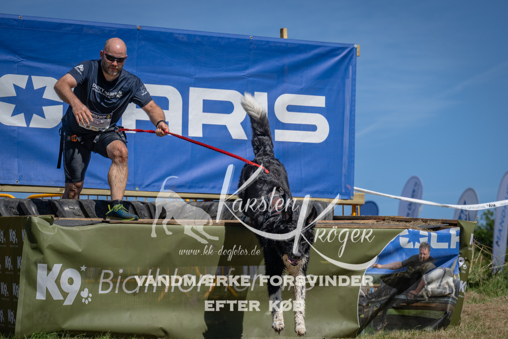 1310_ZZ98203 | kk-dogfotos