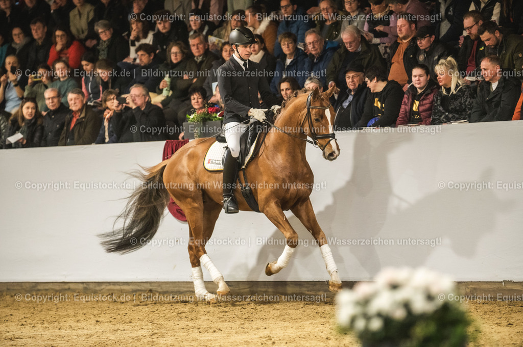20240302_Hengstvorstellung_Marbach_TOMsPiC_0339-2 | equistock