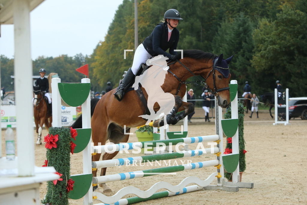 DL2Q4024 | Willkommen bei Brunnmayr - Design & Fotografie – Ihrem Spezialisten für Reitturniere und Pferdeveranstaltungen in Oberösterreich, Salzburg und Bayern! Seit über 17 Jahren sind wir leidenschaftlich dabei.