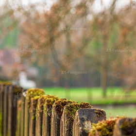 Zaunblick