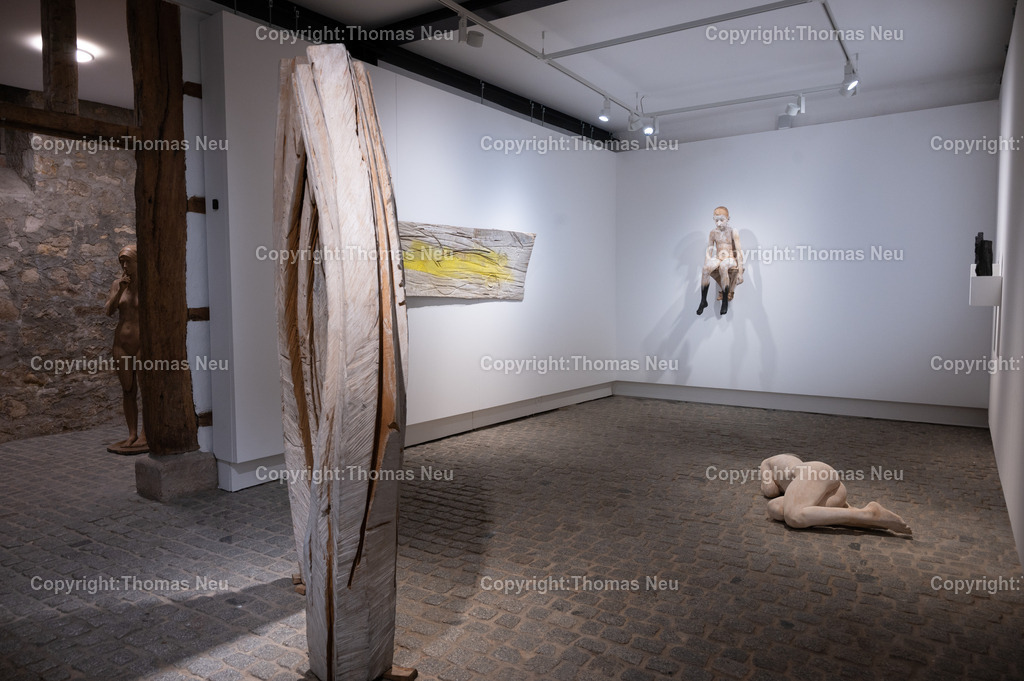 DSC_9338 | Museum Bensheim, Ausstellung Jochen Walpoth, 